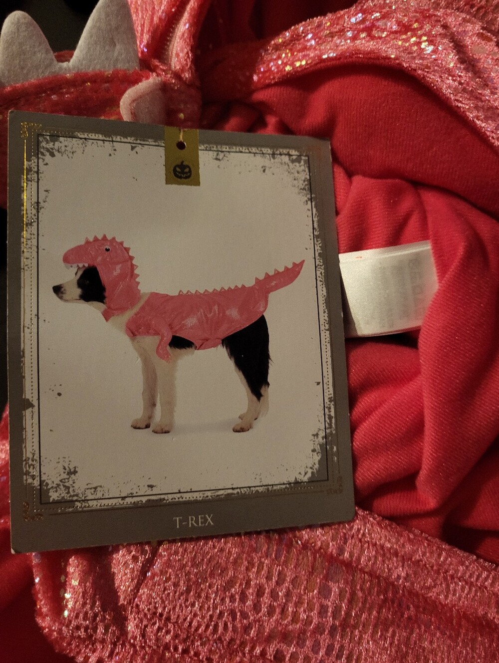 Dog Pink T Rex Dino Costume NWT Size XL